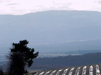 DSCN1065  field patterns