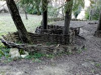 DSCN1144  lattice work on the path