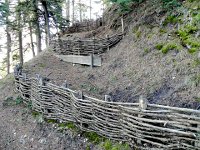 DSCN1146  lattice art