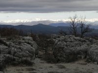 DSCN1193  are highly eroded limestone outcrops