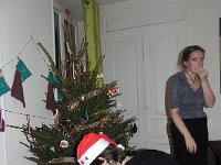 DSCN0583  The blinking Santa hat came with the tree