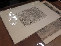 DSCN0696  with many copies