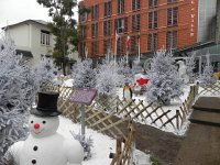 DSCN0741  Snow men and penguins