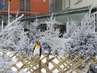 DSCN0742  Frosted trees and national &#34;devise&#34; - Liberté, Egalité, Fraternité