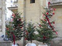 DSCN0823  adorned with Christmas trees and pigeons