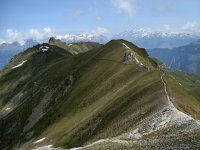 DSC05604  now THIS is a Crest trail!