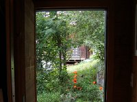 DSC05651  out the kitchen door to the flower bed