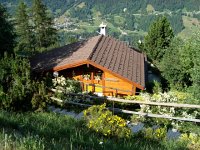 DSC05665  La Tulipe from the road