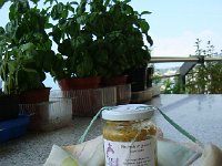 DSC05675  balcony art