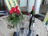 DSCN7624  ready for the bubbly and a toast