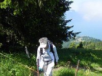 DSCN7650  Pedestrian &#34;bridges&#34; between the pastures