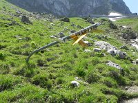 DSCN7652  Some sign posts had a hard winter!