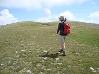 DSC06287  A beautiful alpine tundra