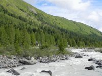 DSCN7980  looking the other way, treeline ecotones