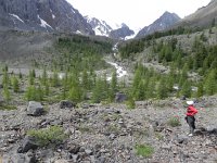 DSCN7997  larch communities and stone pine communities at the confluence