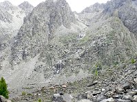 DSCN8014  treeline art