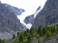 DSCN8017  more treeline art