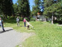 DSCN8046  back at camp, a budding gymnast