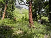 DSCN8060  we climbed up toward tree line
