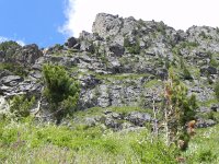 DSCN8078  past the flag trees are cliffs with individual trees