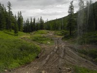 DSCN8107  but down in the forest, the road really deteriorated.