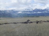 DSCN8133  through a muddy window, the West