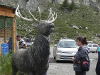 DSCN8147  at a restaurant with a poured red deer.