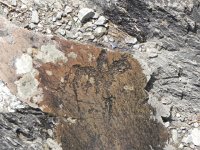 DSCN8149  Further down the road, rock engravings