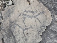 DSCN8156  Not too far away, anthropologists have found the remains of the Denisovian people, a hominid different from us, as is the Neanderthal