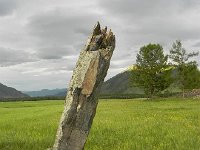 DSCN8185  the steles are aligned with magnetic fields (so I was told)