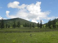 DSCN7900  Typical landscape