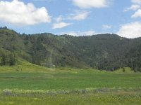 DSCN7903  A field of oats below the forested ridge