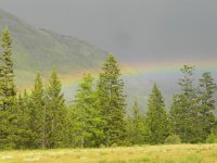 DSCN7932  more rainbow