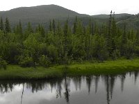 DSCN7947  it seemed all rather northern