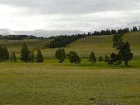 DSCN7953  below the lower tree line