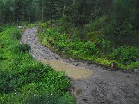 DSCN7972  here at least the road coalesced into one rocky passage