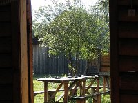 DSCN8195  that looked out on the picnic table where we had tea yesterday.