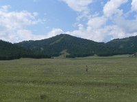 DSCN8206  beautiful meadows in the stream bottoms