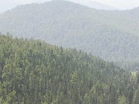 DSCN8261  Palia documenting