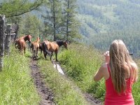 DSCN8267  as Palia filmed, they decided that we were less interesting than they thought