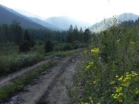 DSCN8277  Up through the meadows