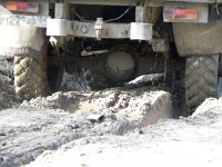 DSCN8291  They sink in deep