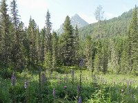 DSCN8358  It would be a very long day, and a very wet one