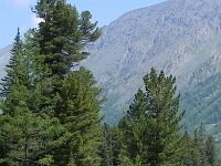 DSCN8371  An old snow guage from the Soviet times when they read them from helicopters