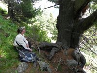 DSCN8380  Above the talus was a very steep slope covered with deep herbaceous vegetation and above that a forest on a rocky spine