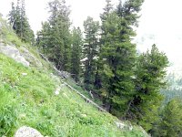 DSCN8384  When Oleg finally arrived, he said that he wasn&#39;t feeling well and that Galia and I should go on without him. I objected but he said that there were bears in the area and he didn&#39;t want Galia to go alone.