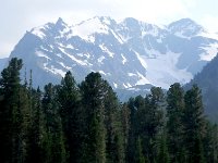 DSCN8410  summits and stone pines