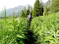 DSCN8414  deep greenery!