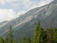 DSCN8418  evening light