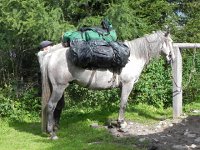 DSCN8444  The monster packs of my colleagues were loaded on a horse but I carried my stuff